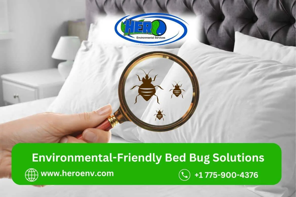 Bed Bug Solutions